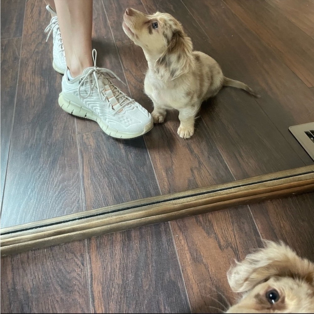 Reebok Charli Cohen Zig Kinectica Shoes - Picture 10 of 10